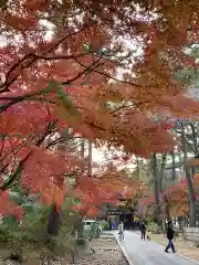 東漸寺(千葉県)