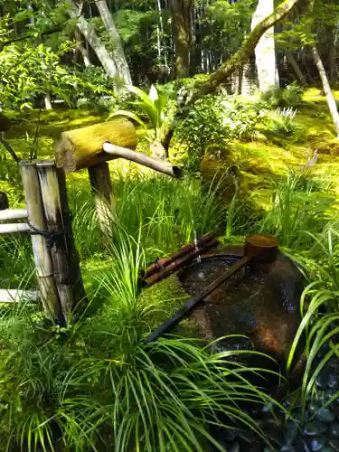 祇王寺の手水舎