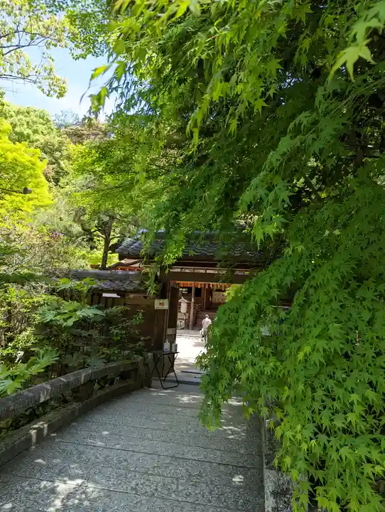 宇治上神社(京都府)