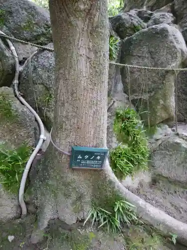 住吉神社の自然