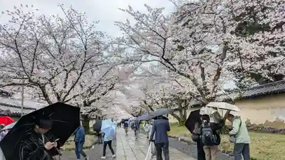 醍醐寺(京都府)