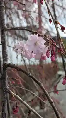 西住院(京都府)