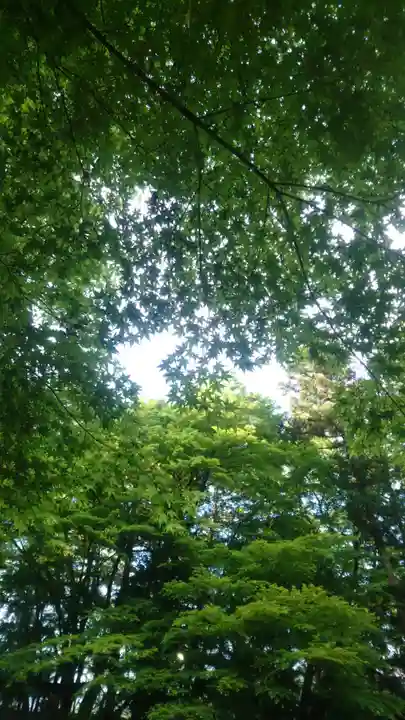 諏訪神社(鳥取県)
