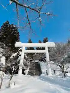 土津神社|こどもと出世の神さまの鳥居(2023年01月08日(日) 16時17分59秒投稿)