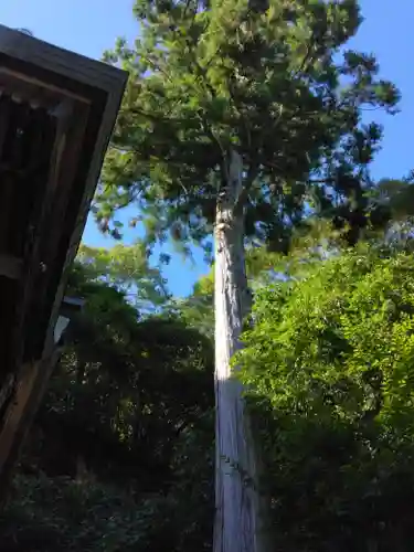 山王神社の建物その他