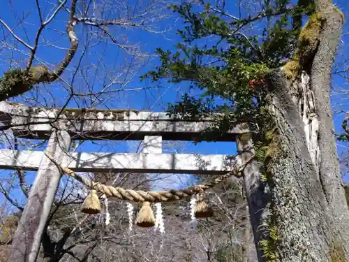 天鷹神社の鳥居