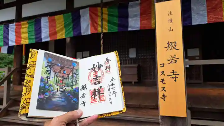 般若寺 ❁コスモス寺❁(奈良県)