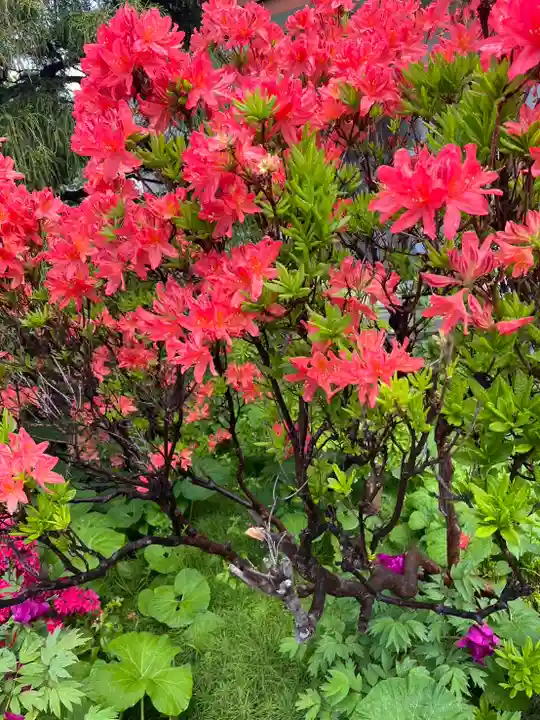 宝壽山 吉祥院の自然