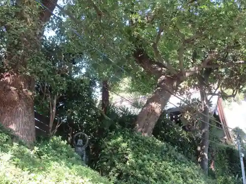 大光寺(神奈川県)