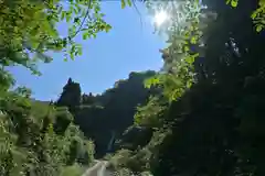 髙龍神社 中社(新潟県)