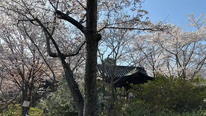 吉備津岡辛木神社(岡山県)