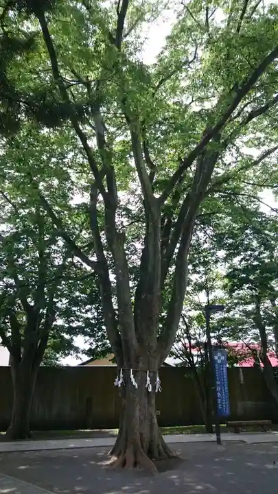 乃木神社のその他建物