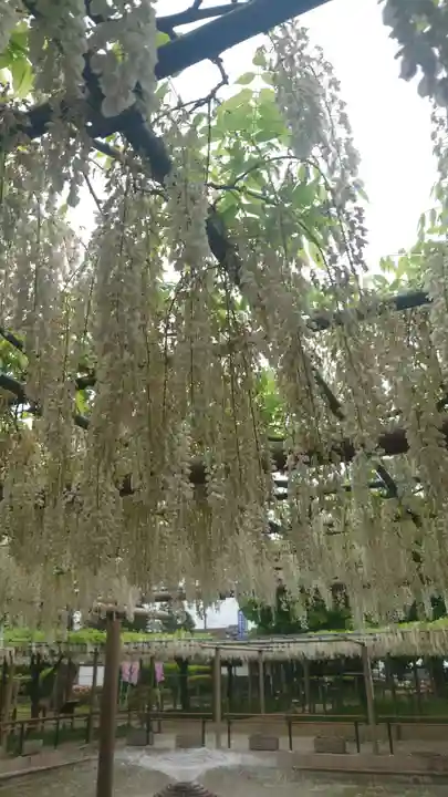 曼陀羅寺の庭園