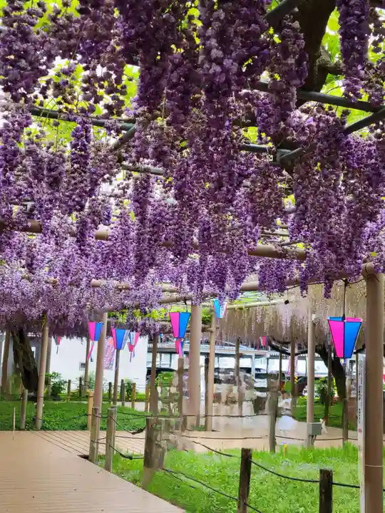 曼陀羅寺の庭園