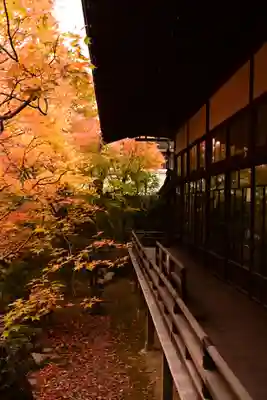 禅林寺(永観堂)(京都府)