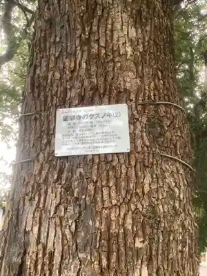 青海山　薬師寺の歴史