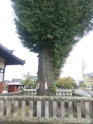 諏訪神社(群馬県)
