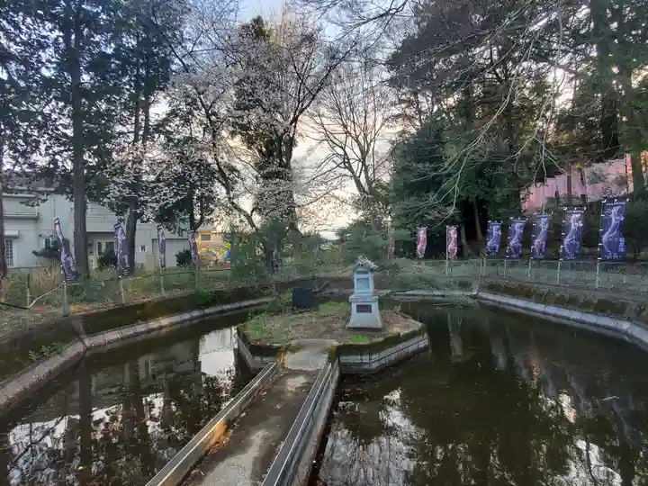 前玉神社(埼玉県)