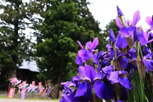 高司神社〜むすびの神の鎮まる社〜の本殿