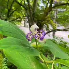 古峯神社の自然