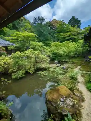 実相院門跡の庭園
