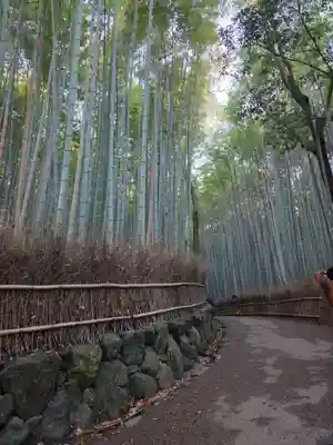 野宮神社(京都府)