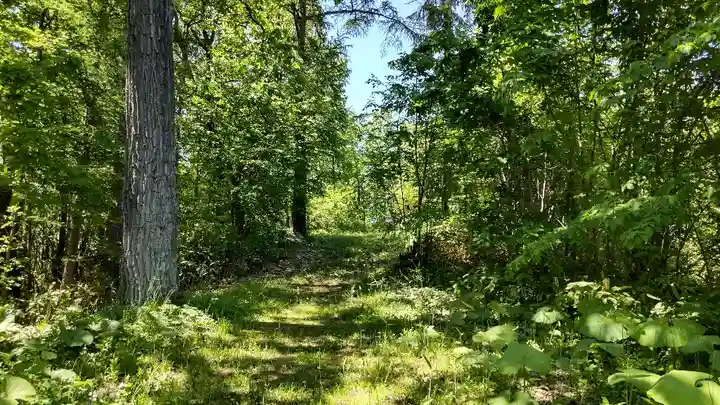 秋葉神社の庭園