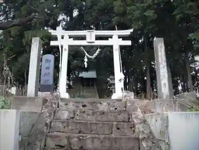 御田神社の鳥居
