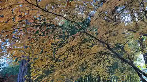 鹿王院(京都府)