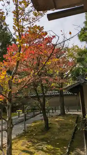 大仙院(京都府)