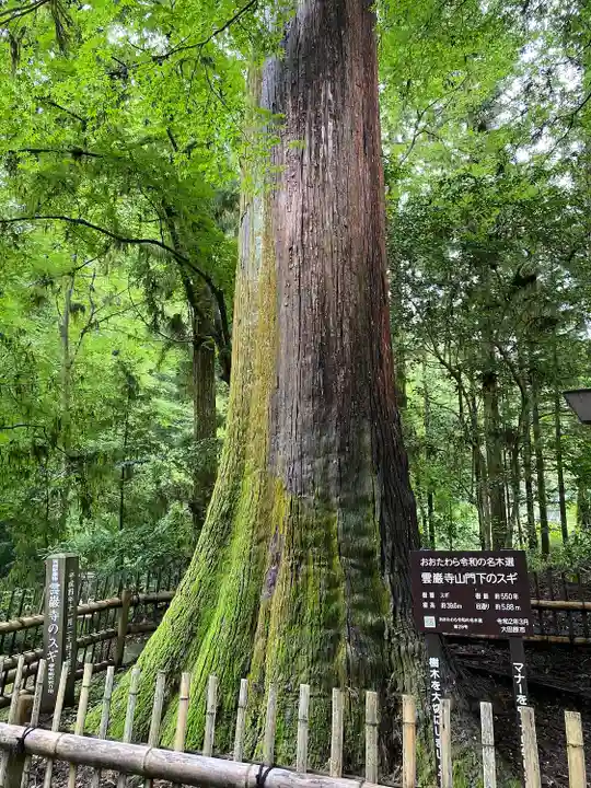雲巌寺(栃木県)