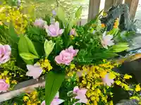 彌彦神社 (伊夜日子神社)の手水舎