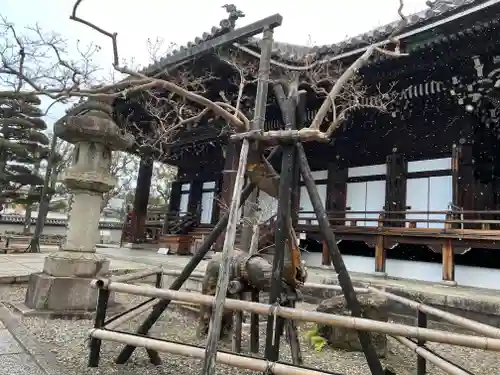 大谷本廟の本殿・本堂