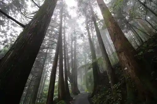 武蔵御嶽神社の自然
