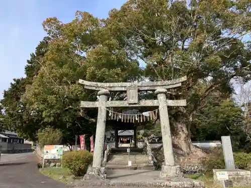 椿八幡神社の鳥居