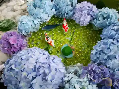 美幌神社の手水舎