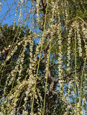 城南宮(京都府)