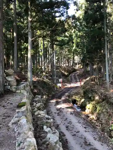 高田神社の自然