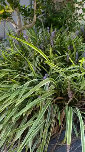 一念寺(京都府)