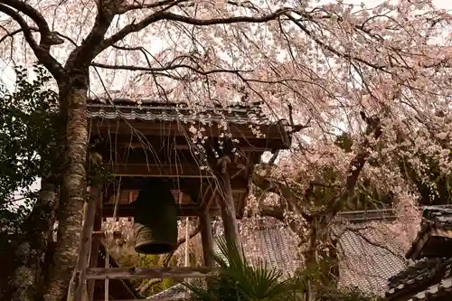 法蓮寺(愛媛県)