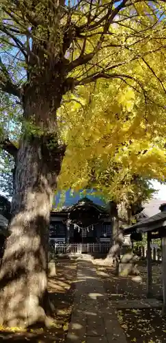 竜珠院の本殿・本堂