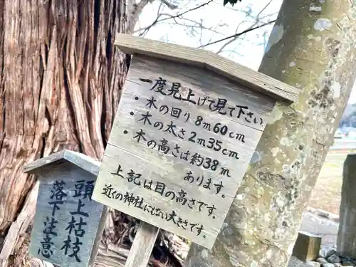 津田神社(三重県)