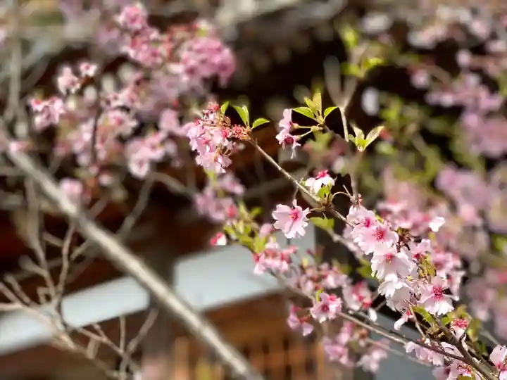 飯沼神社の自然