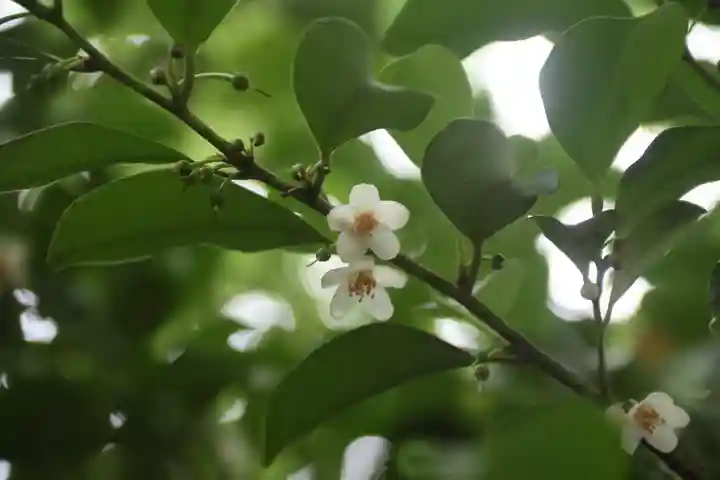 晴門田神社(福島県)