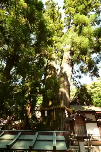 大神神社(奈良県)
