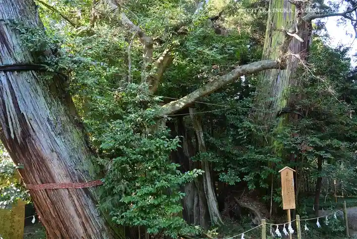 香取神宮(千葉県)