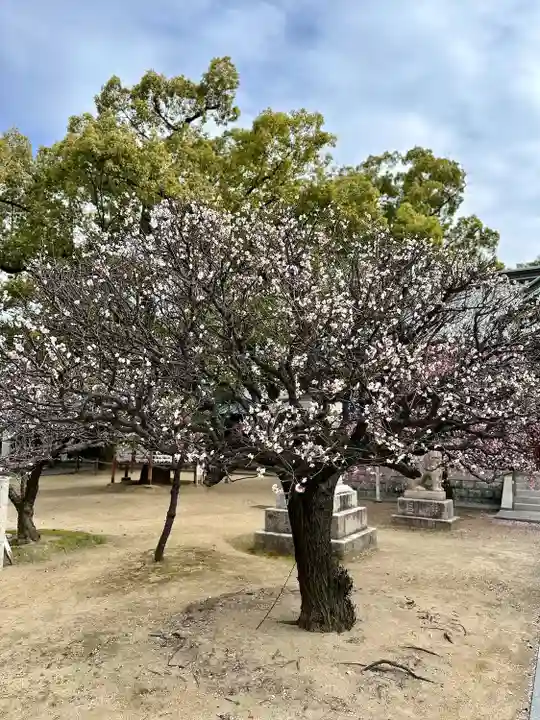 屯倉神社(大阪府)