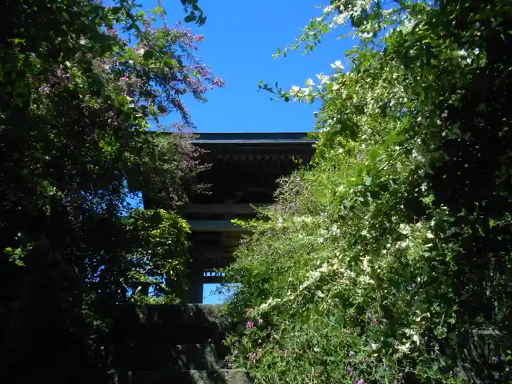 海蔵寺の山門・神門