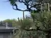 法岩院の自然