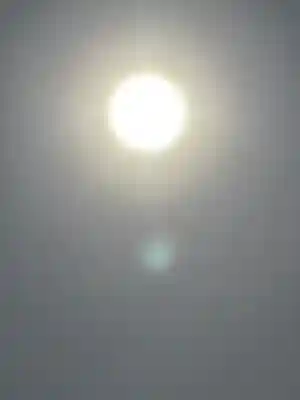 櫻木神社(千葉県)